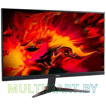 Монитор Acer Nitro VG250Qbmiix картинка 2